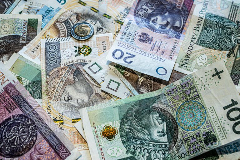 assorted polish zloty banknotes and coins close up