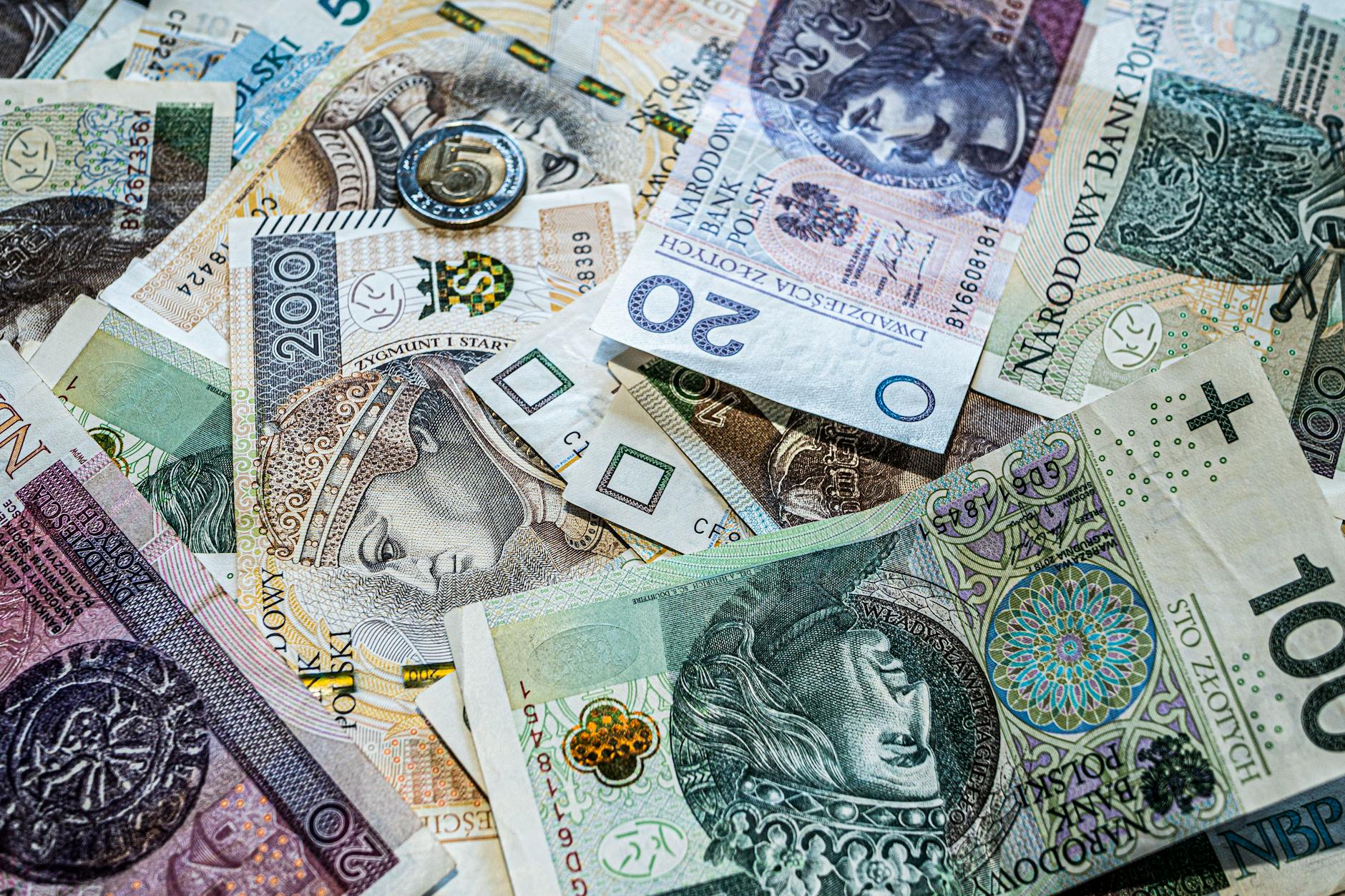 assorted polish zloty banknotes and coins close up