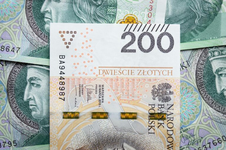 close up shot of paper money